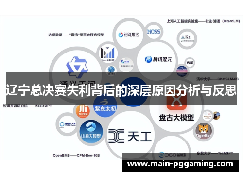 辽宁总决赛失利背后的深层原因分析与反思