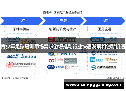 青少年足球培训市场需求激增推动行业快速发展和创新机遇