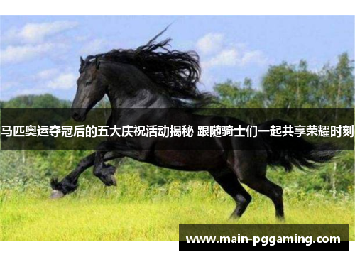 马匹奥运夺冠后的五大庆祝活动揭秘 跟随骑士们一起共享荣耀时刻