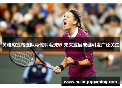 黄雅琼宣布退队震惊羽毛球界 未来发展成谜引发广泛关注